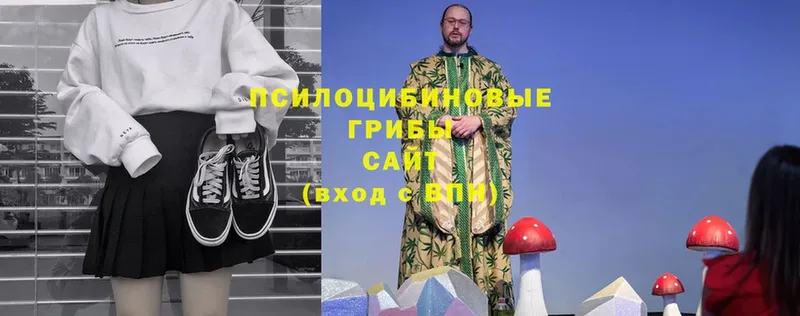 shop официальный сайт  Камышин  Галлюциногенные грибы Cubensis  где можно купить наркотик 